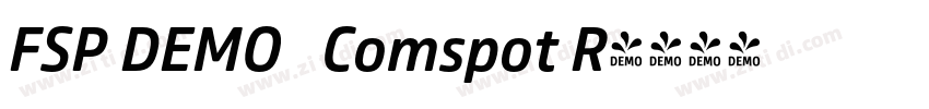 FSP DEMO   Comspot R字体转换
